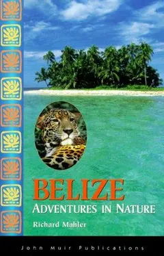 Belize by Richard Mahler