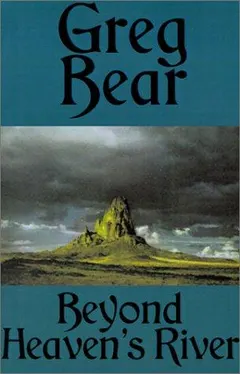 Beyond Heaven's River by Greg Bear