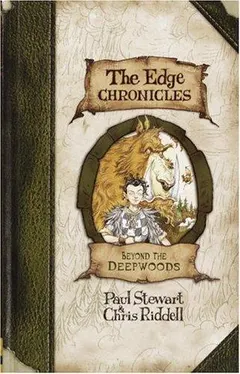 Beyond the Deepwoods by Paul Stewart