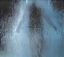 Bill Viola by Bill Viola