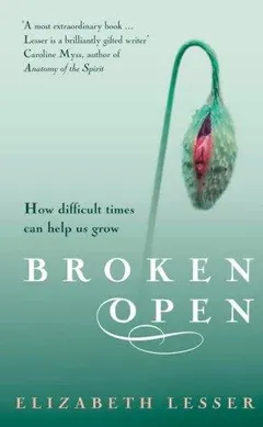 Broken Open by Elizabeth Lesser