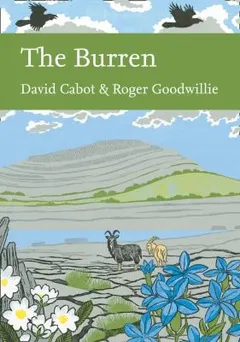 Burren by David Cabot