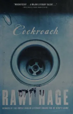 Cockroach by Rawi Hage