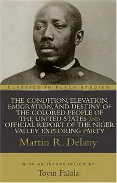 Condition, Elevation, Emi by Martin Robison Delany