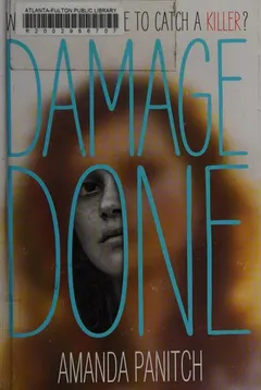 Damage done by Amanda Panitch