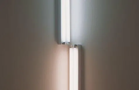 Dan Flavin