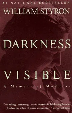 Darkness Visible by William Styron