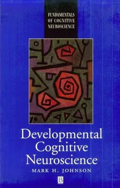 Developmental Cognitive Neuroscience by Mark H. Johnson