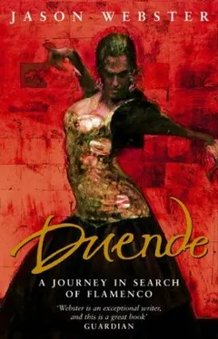 Duende by Jason Webster