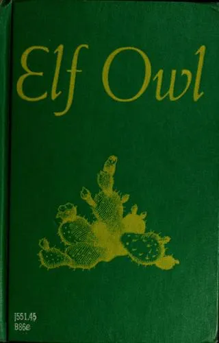 Elf Owl