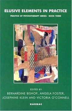Elusive elements in practice by Bernardine Bishop