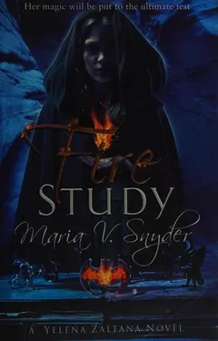 Fire Study by Maria V. Snyder