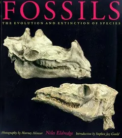 Fossils by Niles Eldredge