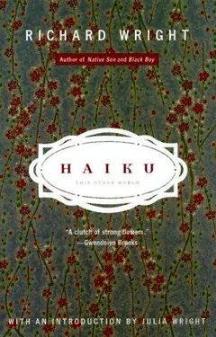 Haiku by Richard Wright