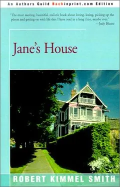 Jane's house by Robert Kimmel Smith