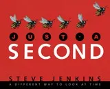 Just a second by Steve Jenkins