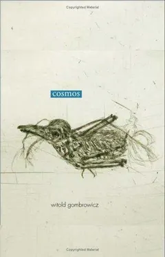 Kosmos by Witold Gombrowicz