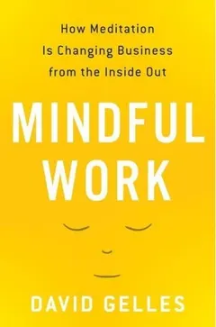 MINDFUL WORK by David Gelles