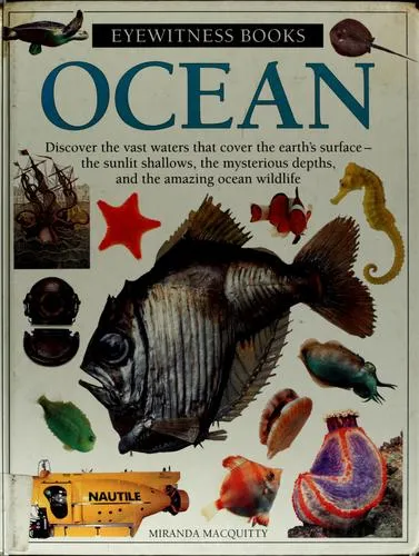 Ocean