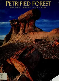 Petrified Forest by Sidney R. Ash