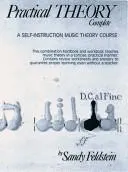 Practical Theory by Sandy Feldstein