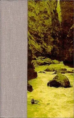 Running the Amazon by Joe Kane