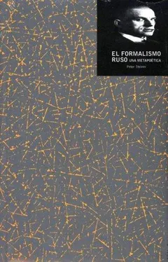 Russian Formalism by Peter Steiner