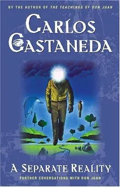 Separate Reality by Carlos Castaneda