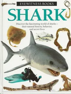 Shark by Miranda MacQuitty
