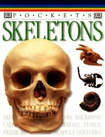 Skeleton