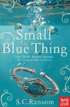 Small Blue Thing by S. C. Ransom