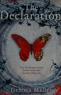The Declaration by Gemma Malley