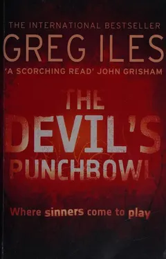 The devil's punchbowl by Greg Iles