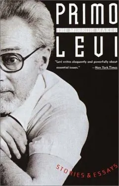The Mirror Maker by Primo Levi