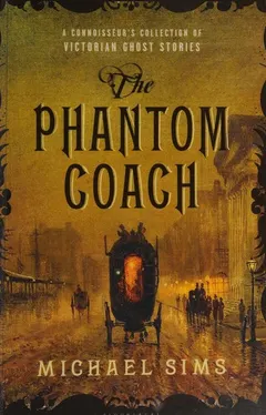 The phantom coach by Michael Sims