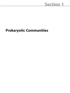 The Prokaryotes by Eugene Rosenberg
