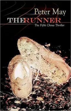 The runner by Peter May