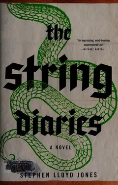 The string diaries by Stephen Lloyd Jones