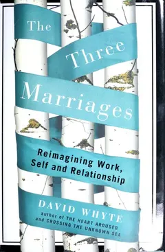 The three marriages by Whyte, David