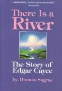 There is a river by Thomas Sugrue