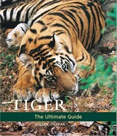 Tiger by Valmik Thapar