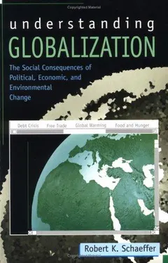 Understanding Globalization by Robert K. Schaeffer