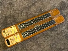 Fender Stringmaster