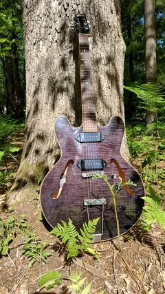 Heritage H-530