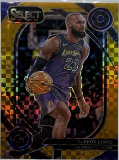 LeBron James [Gold Prizm] #241 2024 Panini Select Basketball