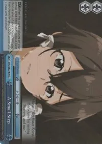 A Small Step Parallel Foil (Sword Art Online II) — Weiss Schwarz Card Value