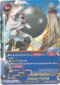 Arduous Training (Shadow VS Hero)