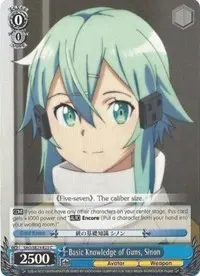 Basic Knowledge of Guns Sinon (Sword Art Online II)