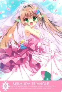 Bermuda Triangle PRISM Image Sunshine Vert (Clan Cards)