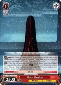 Black Shadow (Fate/stay night [Heaven’s Feel])